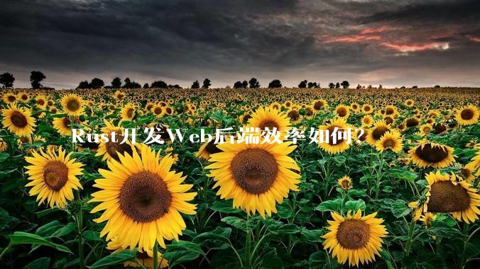 Rust开发Web后端效率如何？