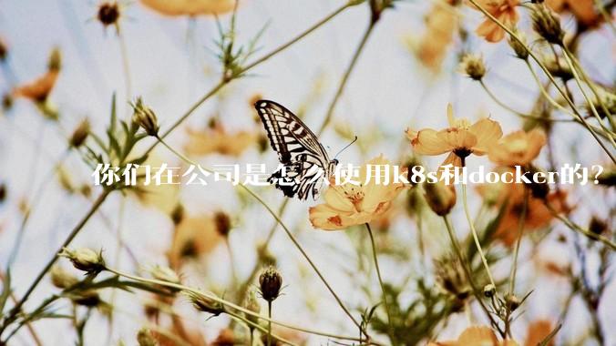 你们在公司是怎么使用k8s和docker的？