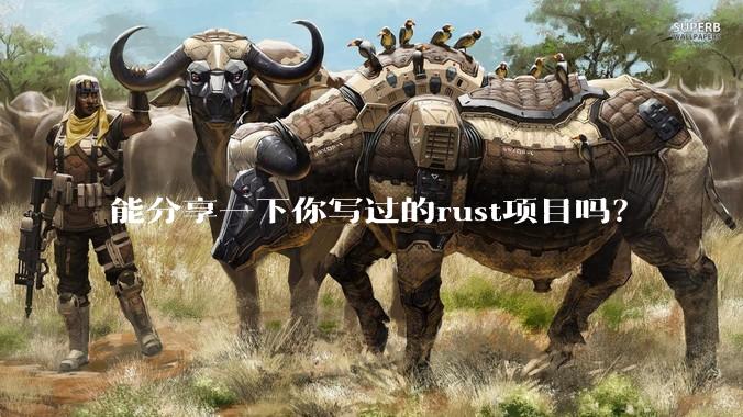 能分享一下你写过的rust项目吗？