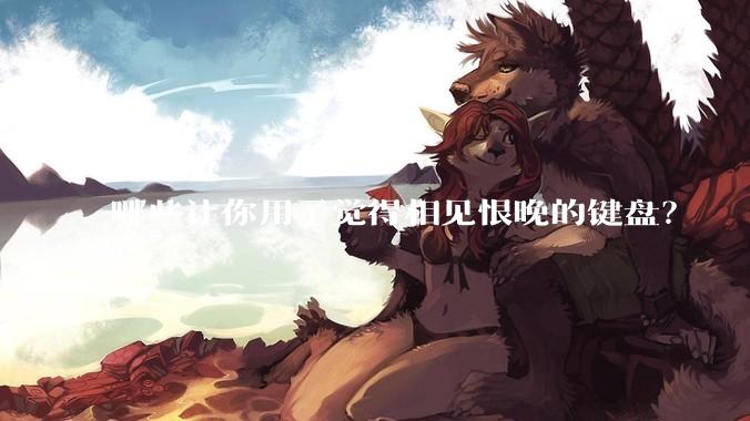 哪些让你用了觉得相见恨晚的键盘？