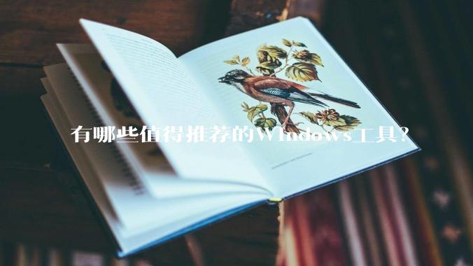 有哪些值得推荐的Windows工具？