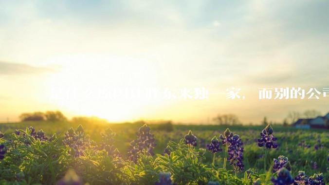 是什么原因让胖东来独一家，而别的公司学不来？