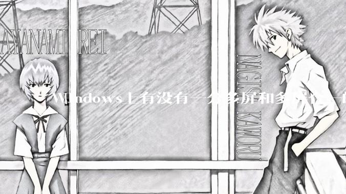 Windows上有没有一分多屏和多屏合一的软件？