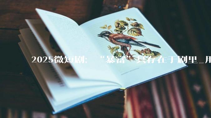 2025微短剧：“暴富”只存在于剧里_用户_红果_***