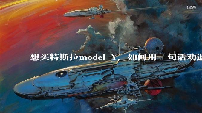 想买特斯拉model Y，如何用一句话劝退我?