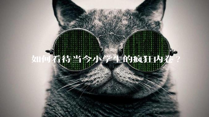 如何看待当今小学生的疯狂内卷?