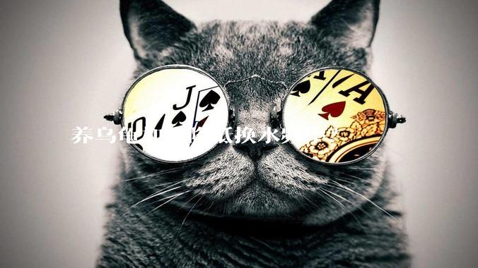 养乌龟如何降低换水频率？