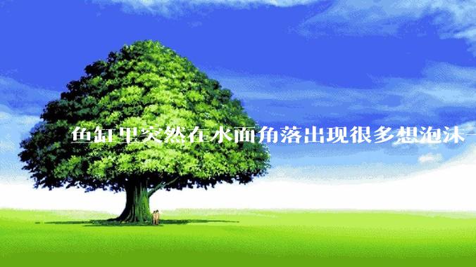 鱼缸里突然在水面角落出现很多想泡沫一样的气泡是怎么回事？