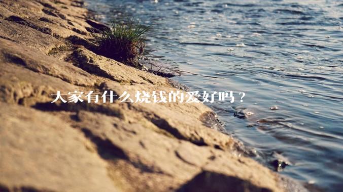 大家有什么烧钱的爱好吗?