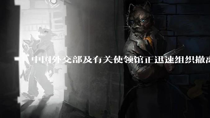 中国外交部及有关使领馆正迅速组织撤离在以、伊的中国公民，目前当地情况如何？
