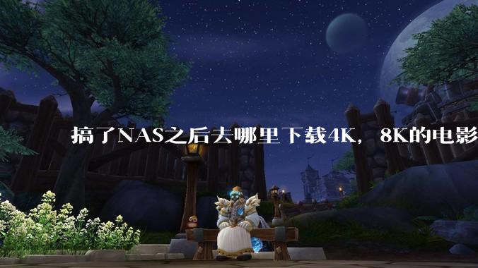 搞了NAS之后去哪里下载4K，8K的电影？