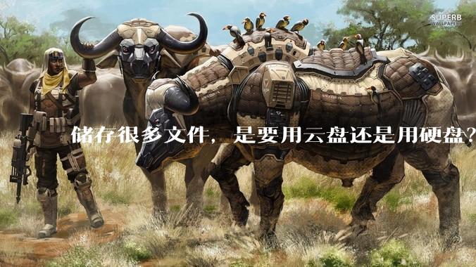储存很多文件，是要用云盘还是用硬盘？